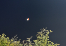 Комета 3I/ATLAS может нести внеземные формы жизни