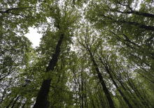 Ростов как экологический «папа»: к экологическим нарушителям относится жестко