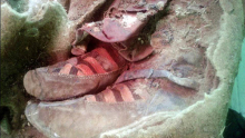 На Алтае найдена 1500-летняя мумия в «кроссовках»