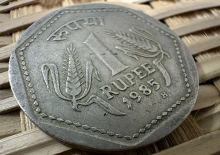 Застрявшим на индийских счетах российским рупиям нашли применение: что предложили эксперты