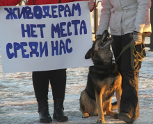 В подмосковном Красногорске догхантеры разбрасывают отраву для собак