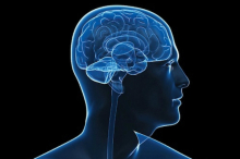 Ученые создали имплант для головного мозга, улучшающий качество умственной работы