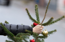 На востоке столицы задержаны двое москвичей за кражу новогодней елки