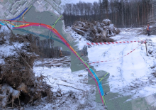 Москвичи сообщили о массовой вырубке леса из-за строительства дороги в Новой Москве 