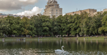 В Москве на Патриарших прудах снова поселился второй лебедь