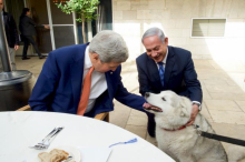 Во время Хануки собака премьер-министра Израиля покусала высокопоставленных гостей