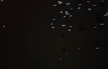 В небе над Нью-Йорком пролетели 2000 голубей со «светящимися» лапами