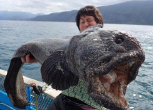 У берегов Фукусимы поймали рыбу-мутанта