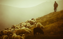 В Румынии более тысячи пастухов ворвались в здание Парламента 
