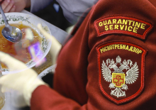 Виновных в отравлении воспитанников школы №575 в Петербурге привлекли административной ответственности