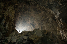Ученые планируют клонировать пещерного львенка, найденного в Якутии