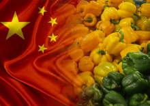 Привычные для Приморья дешевые китайские овощи канули в «коронавирусное лето»