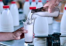 «Общественный контроль» выявил в магазинах Петербурга молоко сомнительного качества