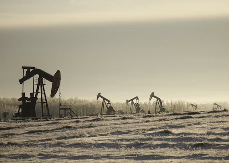 Экономист Дискин объяснил падение мировых цен на нефть