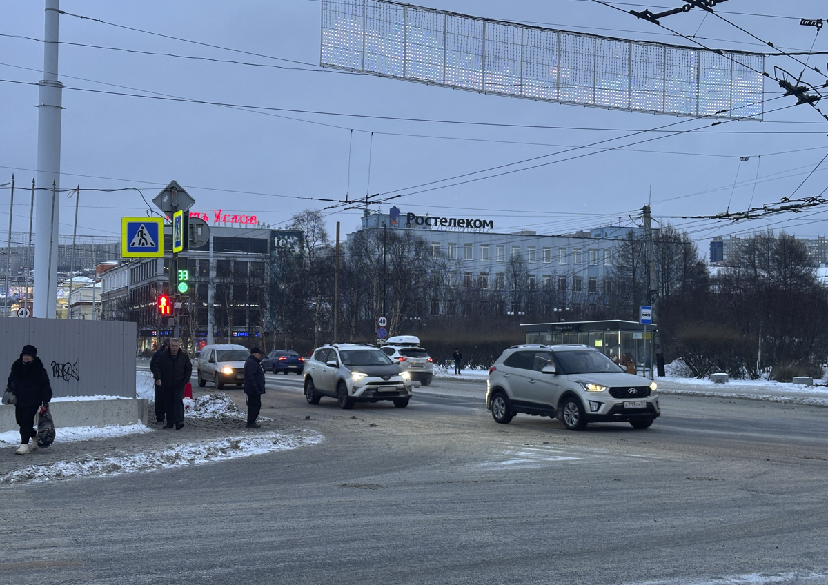 В Мурманской области прокуратура проверила крупные приюты для животных