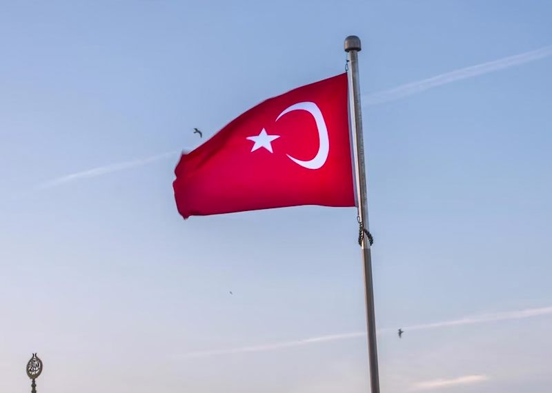 Как на фоне глобальной напряжённости возрастает роль Организации тюркских государств