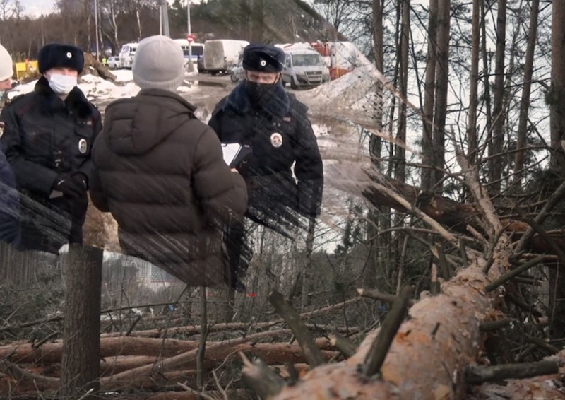 «Я слышала писк животных»: активисты Ново-Переделкино рассказали, как проходила вырубка Ульяновского леса