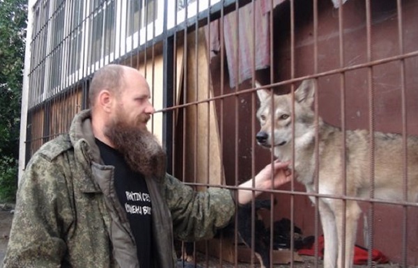 Житель Волгограда живет в «однушке» со степным волком