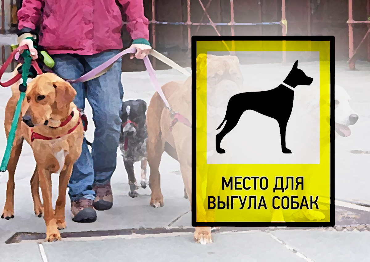 Две площадки для выгула собак открылись в районе Выхино-Жулебино после обращения жителей к Петру Толстому