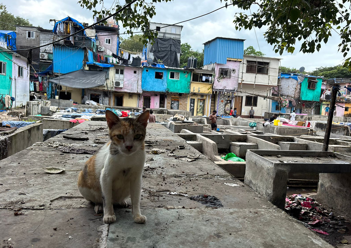 Индии прочат серьезный кризис в случае продолжения конфликта на Ближнем Востоке