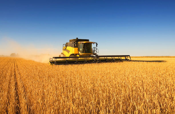   За 9 месяцев Россия экспортировала 24,5 млн. тонн зерна