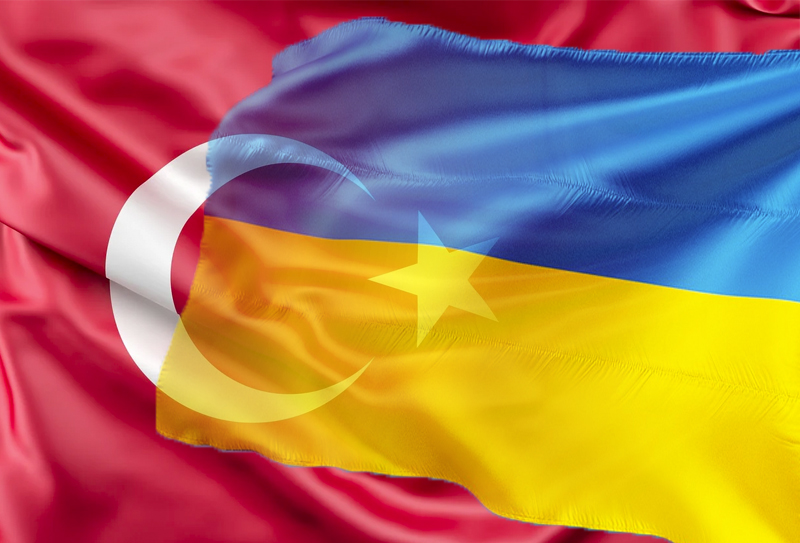 Военный эксперт Евсеев: Россия спецоперацией в Украине скорректировала политику Турции