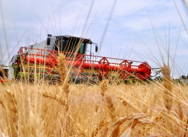 В Тульской области подсчитывают убытки от потери урожая
