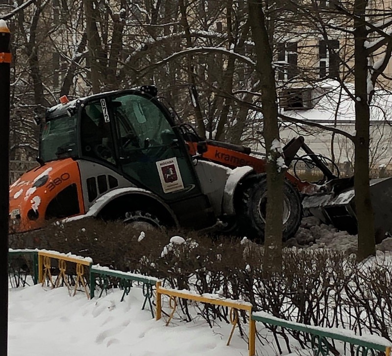 Жители Ломоносовского района сообщают об уничтожении зеленых насаждений при уборке снега
