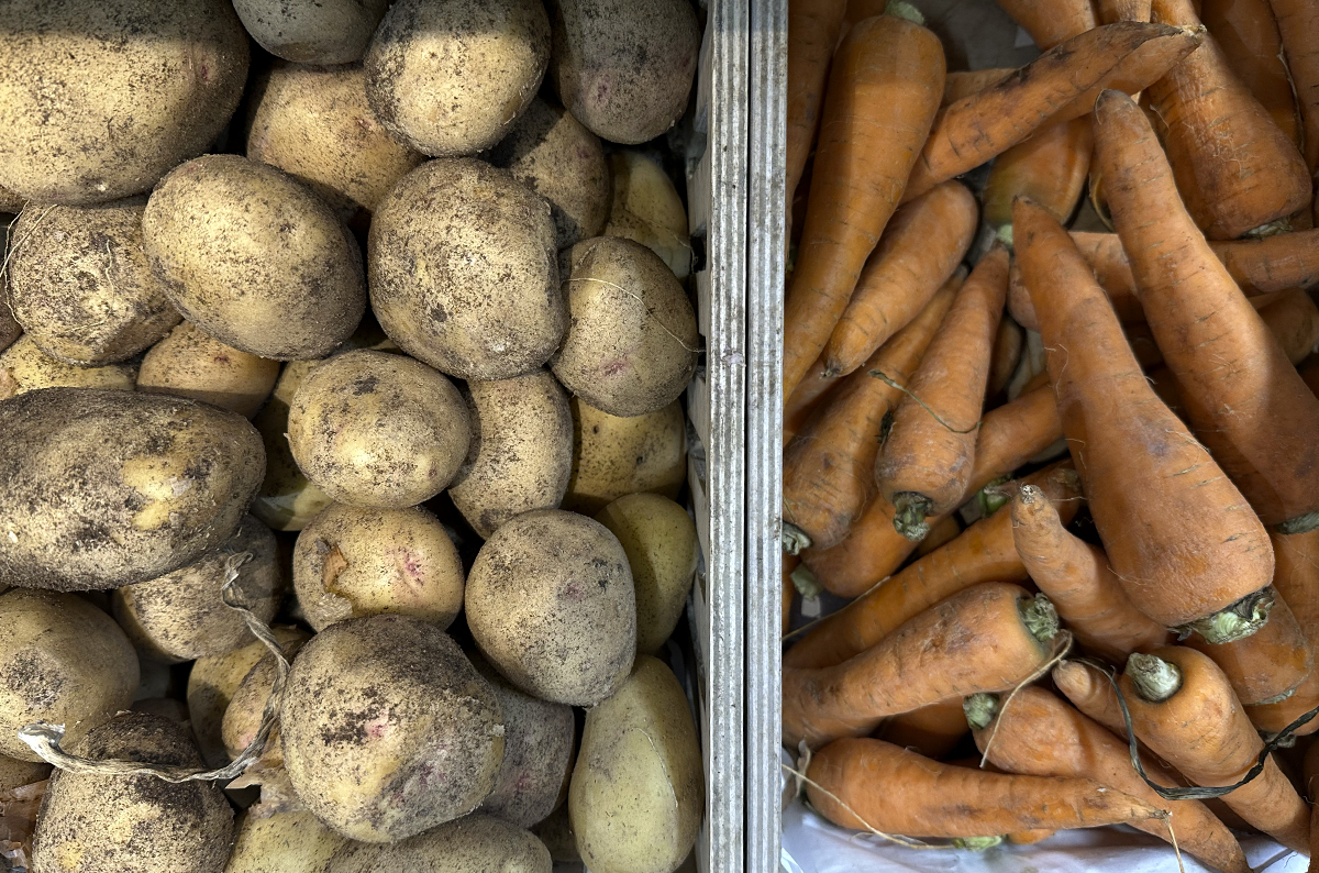 В Европе упали отпускные цены на сельхозпродукцию