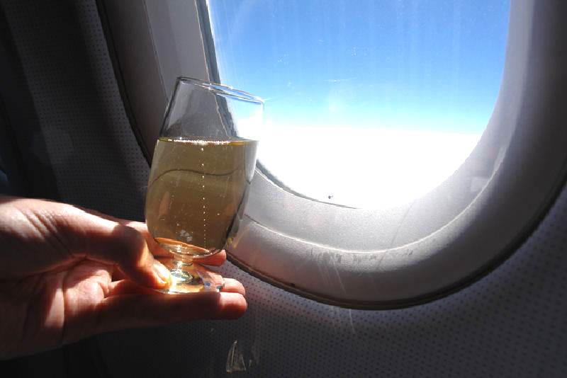 В России распивать алкоголь в самолетах могут полностью запретить