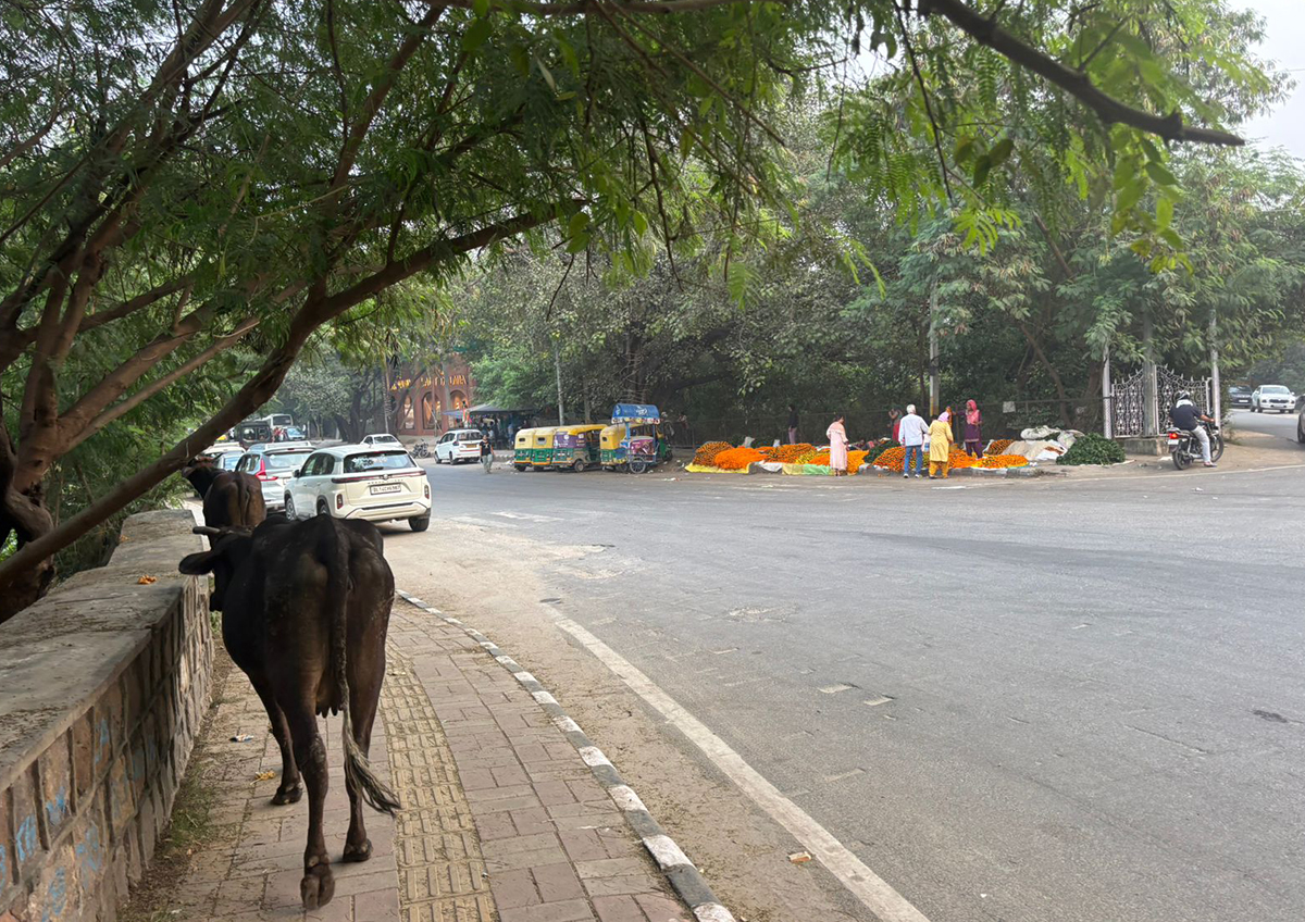 Эксперты оценили перспективы российско-индийских отношений в 2026 году