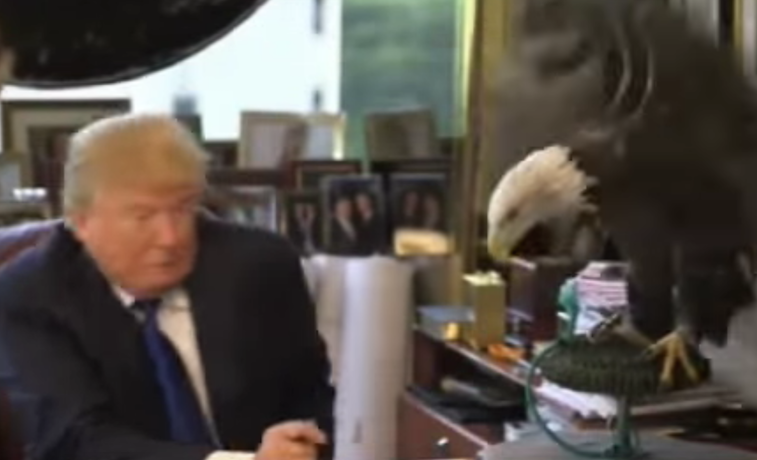 Во время фотосессии на Дональда Трампа напал орлан