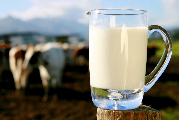 Роспотребнадзор: пить сырое молоко небезопасно