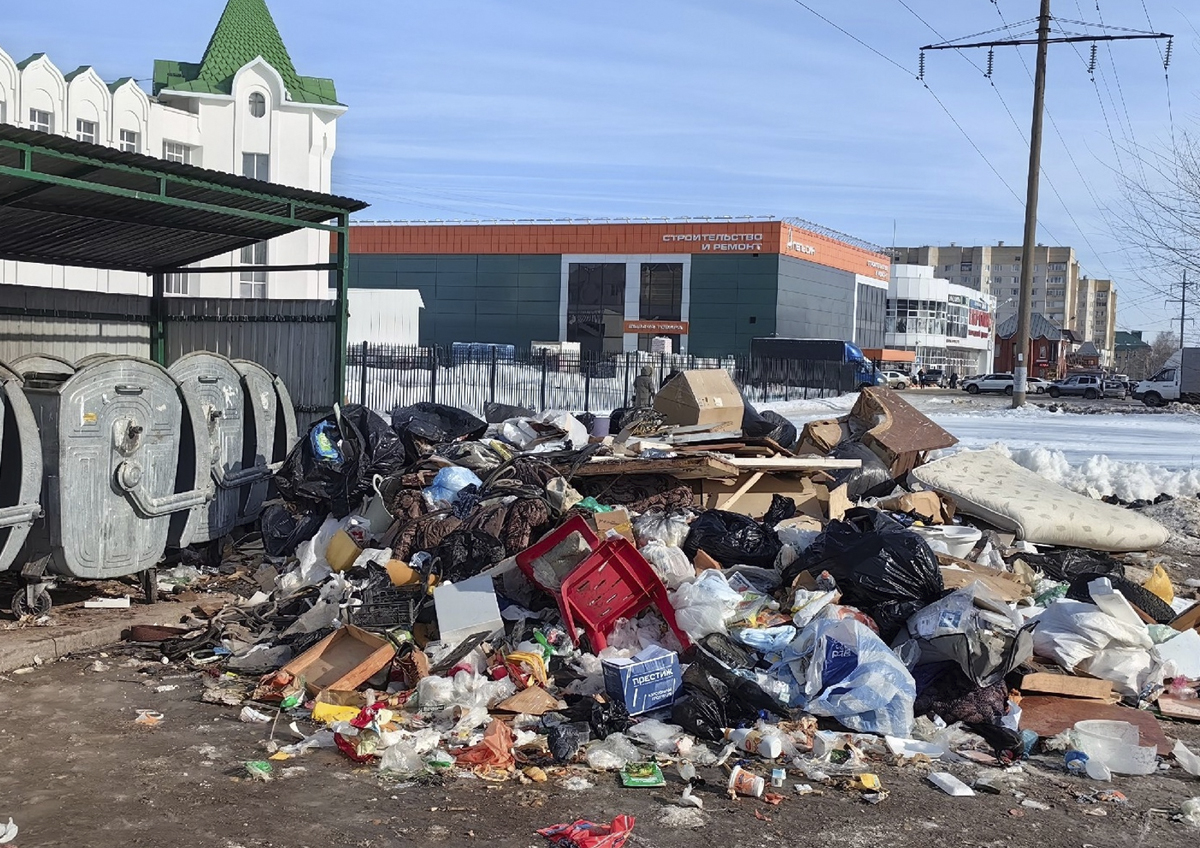 О тамбовском мусорном конфликте проинформировали Путина