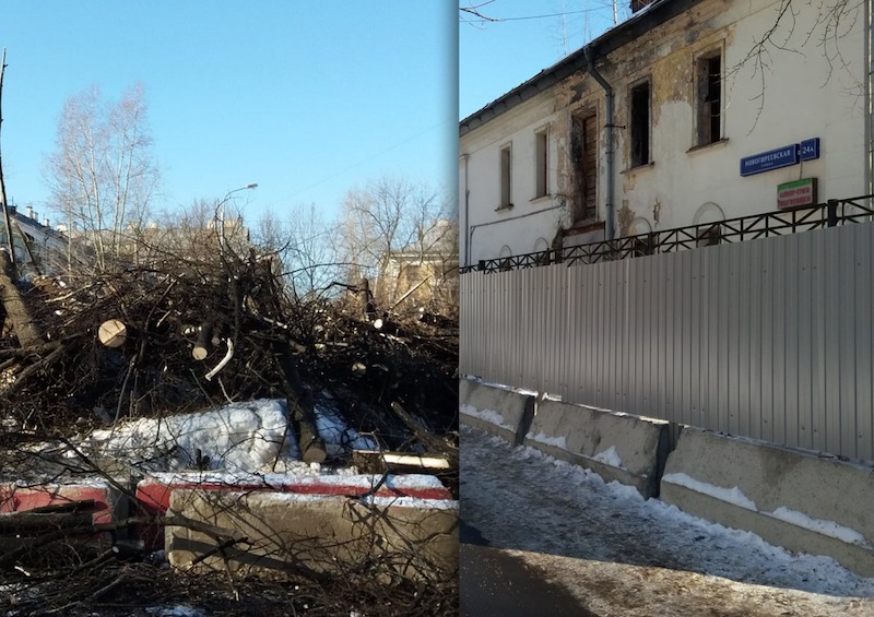Жители Перово боятся остаться без деревьев из-за стартовой площадки по реновации 
