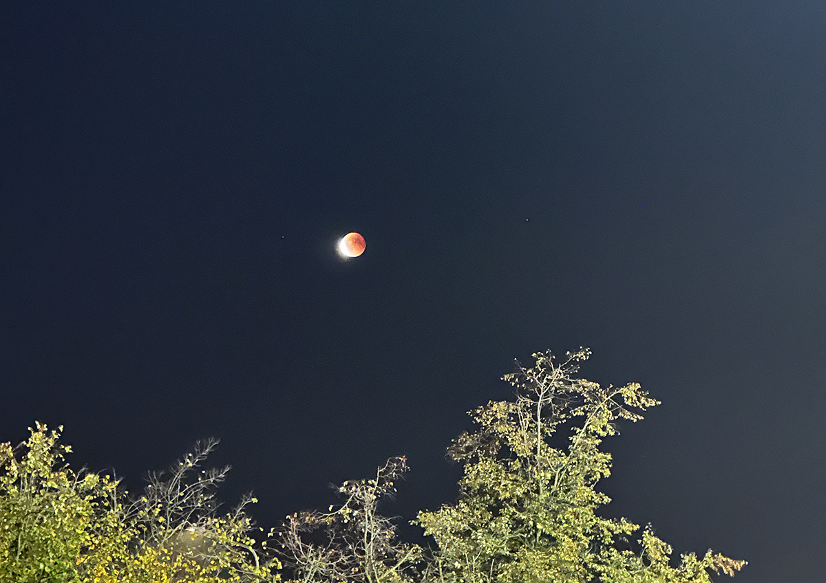 Комета 3I/ATLAS может нести внеземные формы жизни