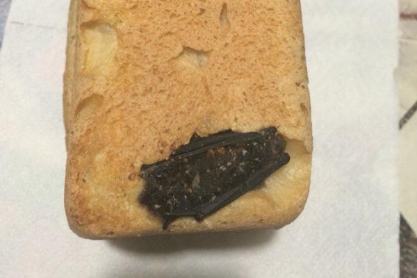 В Ставропольском крае семья обнаружила в буханке хлеба летучую мышь