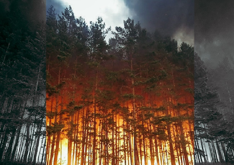 Глава самарской «Родины» предложил ряд мер по ликвидации пожаров в регионе