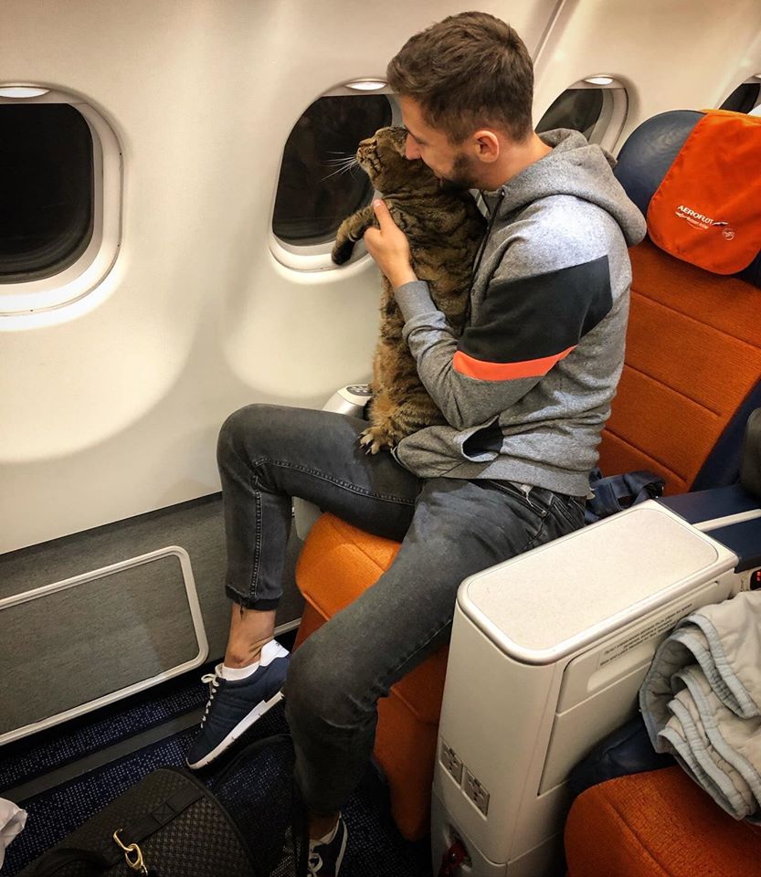 Кота не пустили на борт самолета
