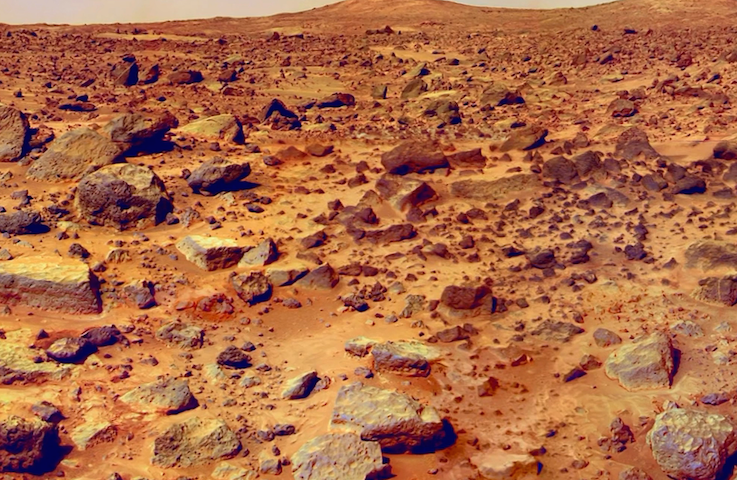 NASA планирует вырастить «марсианскую картошку»