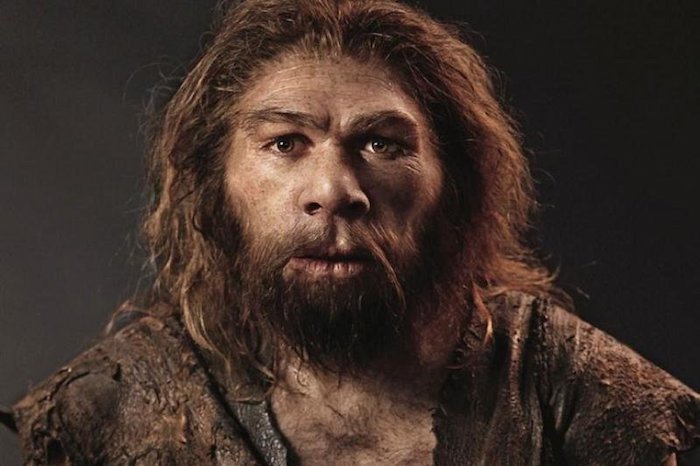 Ученые Стэнфордского университета выяснили, какой след оставили неандертальцы в геноме современного человека