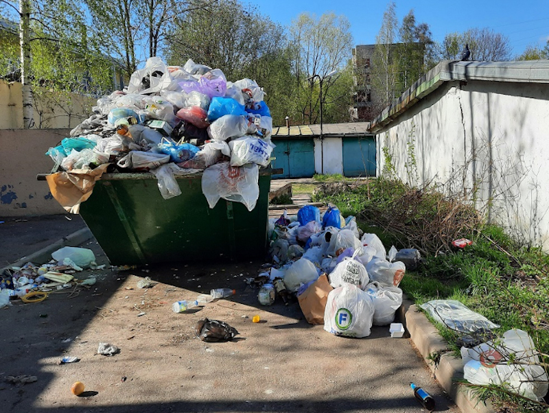 «Птицы таскают мусор»: петербуржцы критикуют Смольный за антисанитарию на дворовых контейнерных площадках